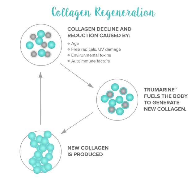 withinUs Collagen Generation
